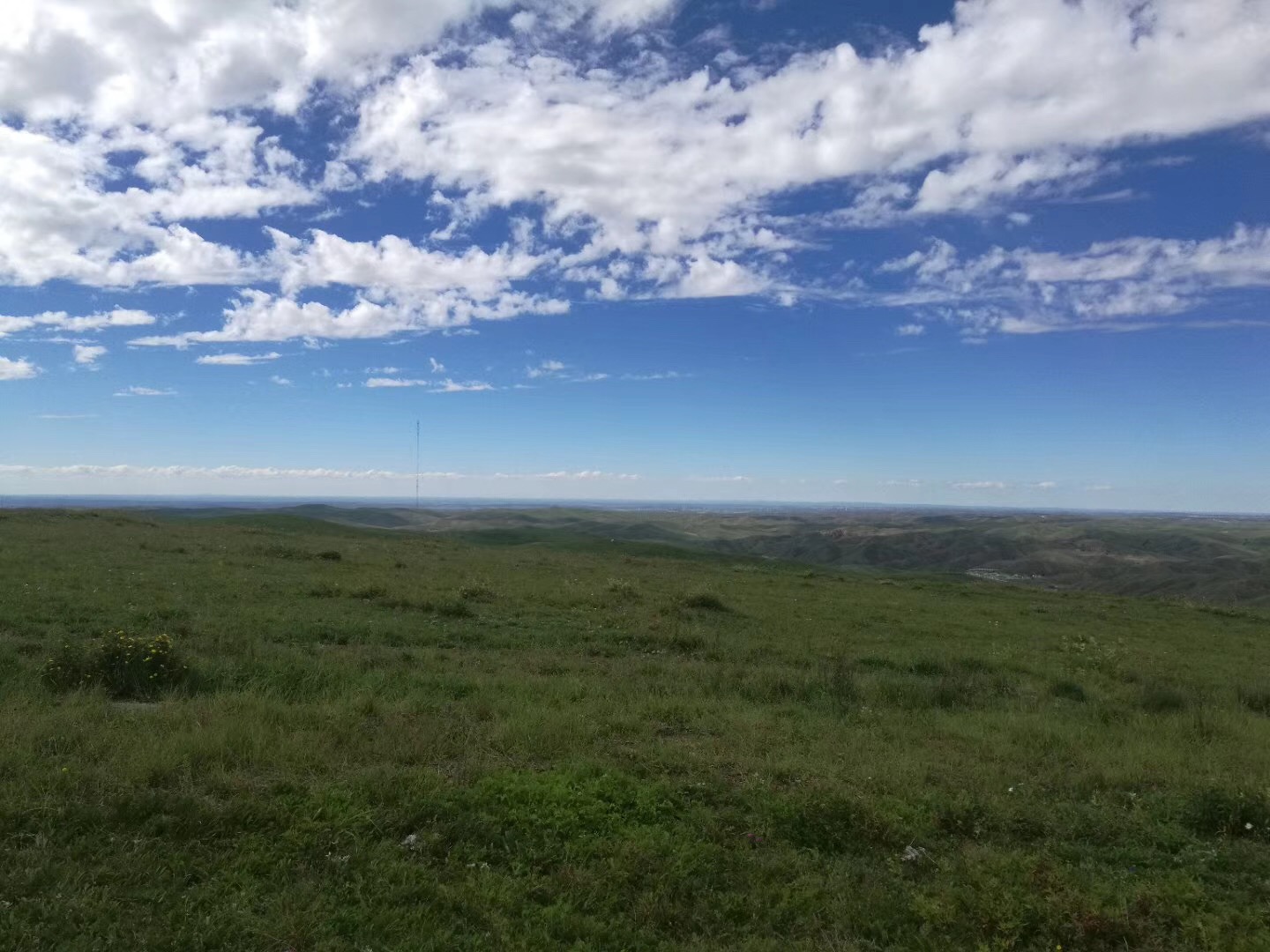 今天唐人介绍一下自己的家乡，包头市又名“鹿城”