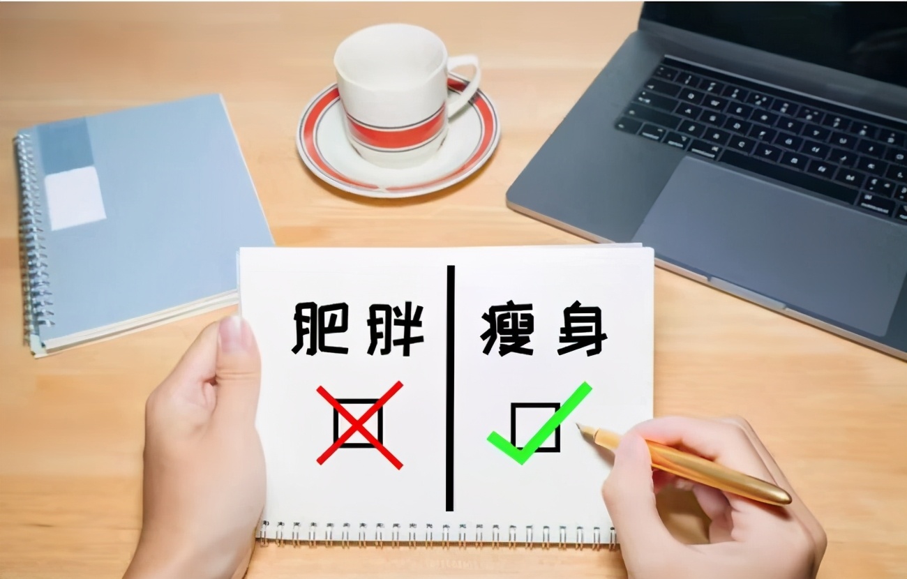 国际权威的减脂减重减肥方法