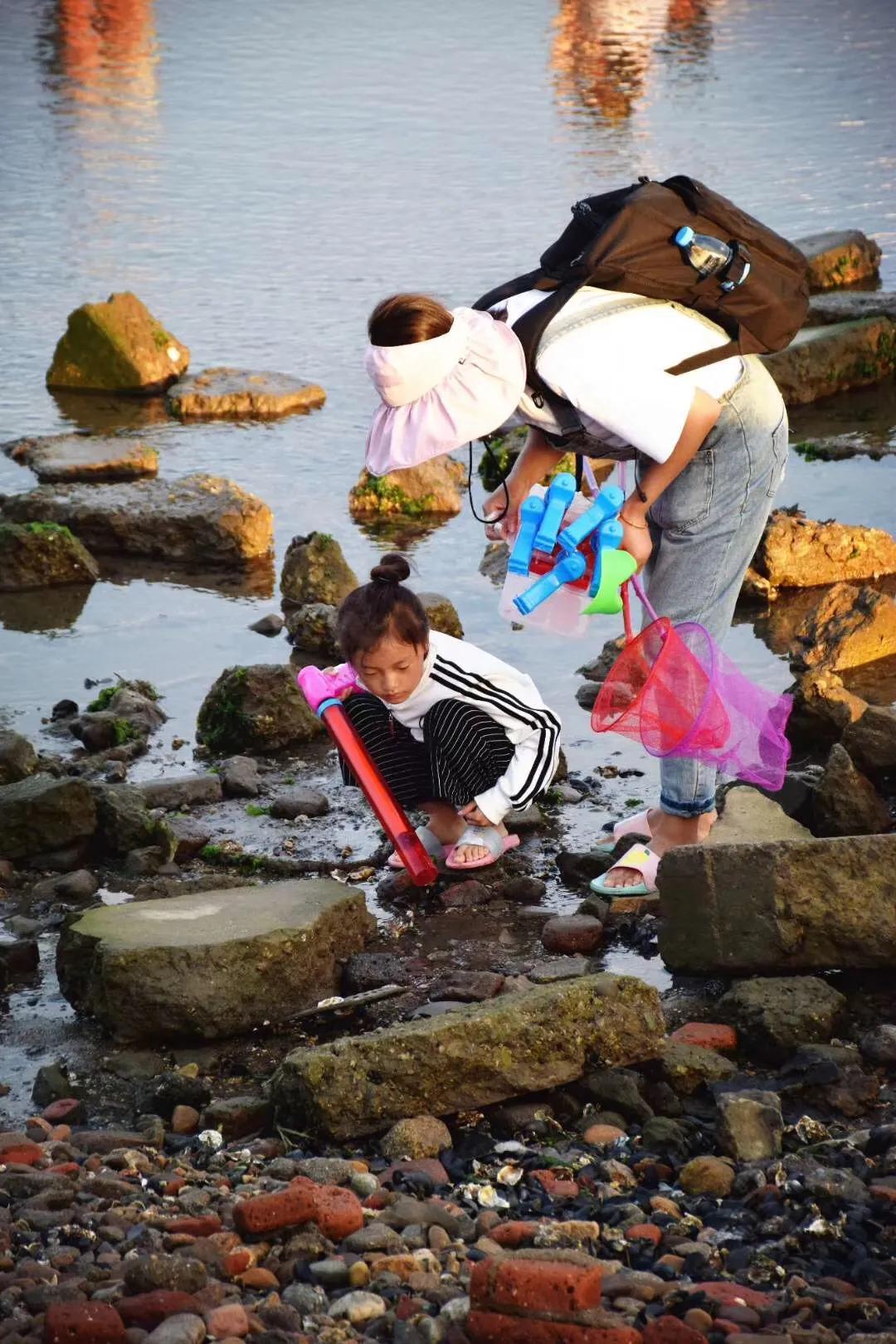 挖蛤拾贝，秦皇岛赶海这份指南可收好了！