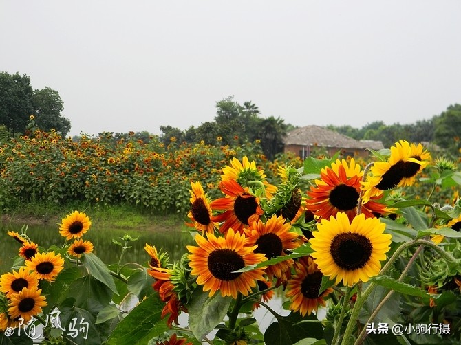 单车骑行无锡,无锡单车骑行路线