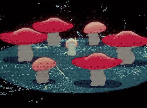 云南蘑菇吃了会中毒吗,云南吃蘑菇中毒