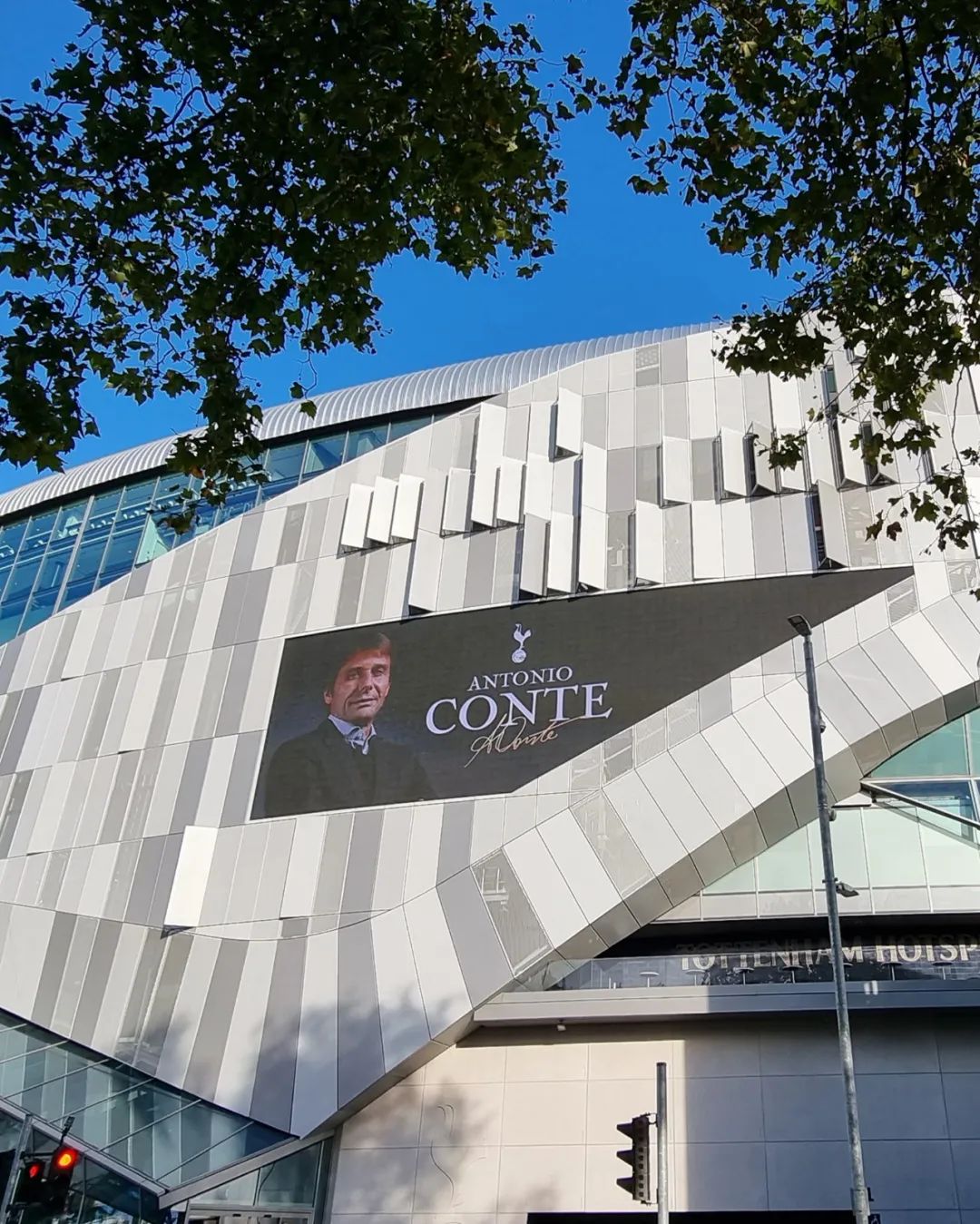 热情和决心作文,热情和决心