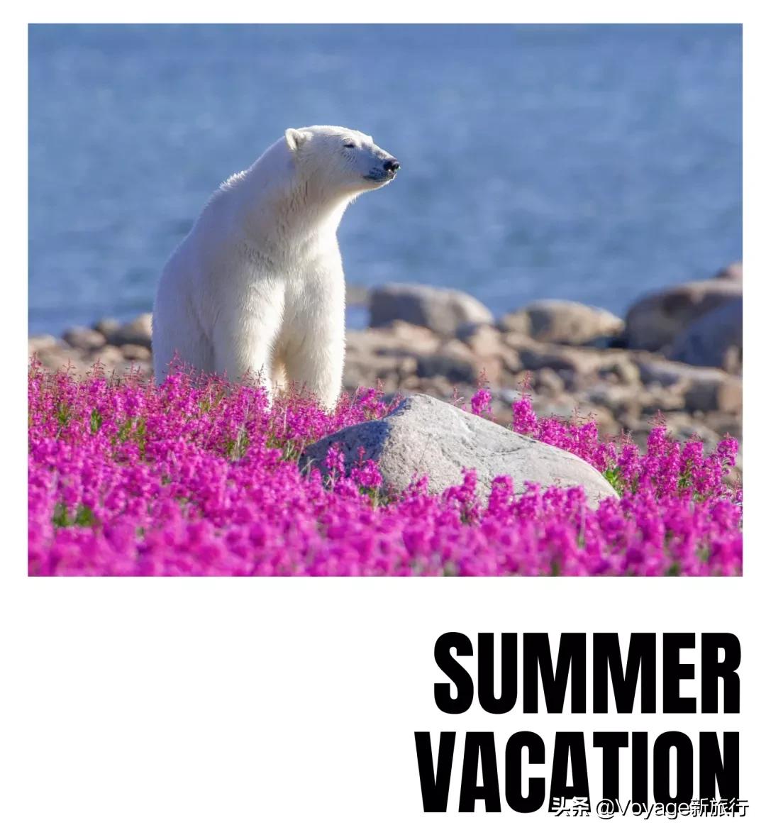 暑期出境游推荐,暑假适合去的国外旅游