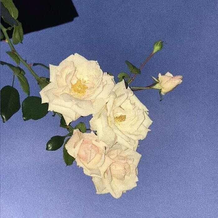 wechat背景图hiphop,每张都很独特的小众wechat背景图