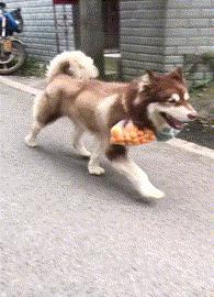 搞笑gif妹子的内心是崩溃的,搞笑gif妹子原来是个逗比