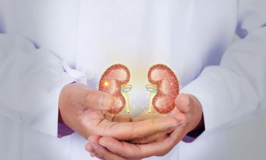 防范尿毒症的方法,远离肾脏病8项黄金法则