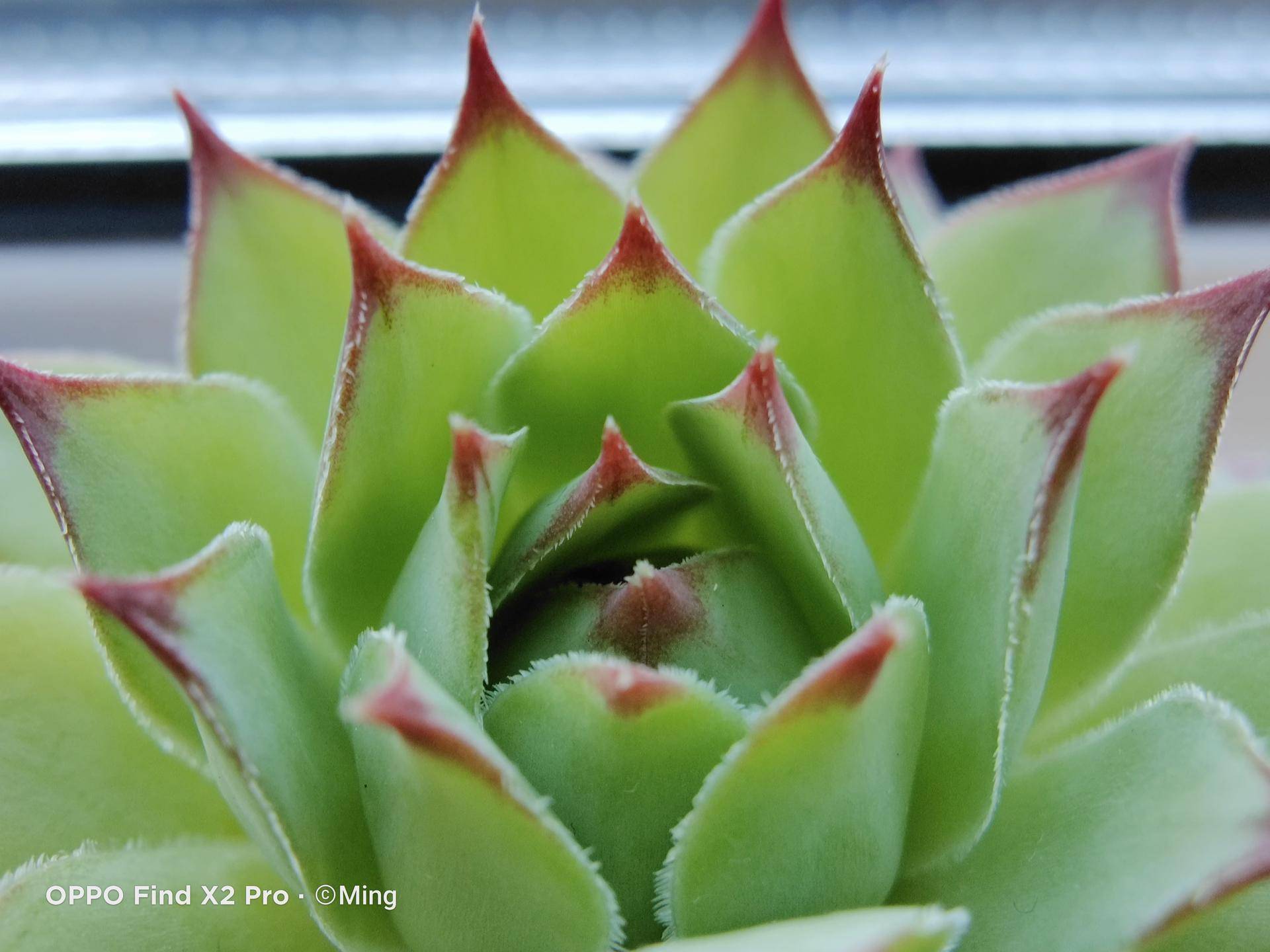 追求极致的高端旗舰oppofindx2pro,oppofindx2pro缎黑深度测评