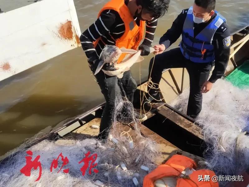 黑龙江发现恐龙化石了吗,黑龙江发现恐龙化石