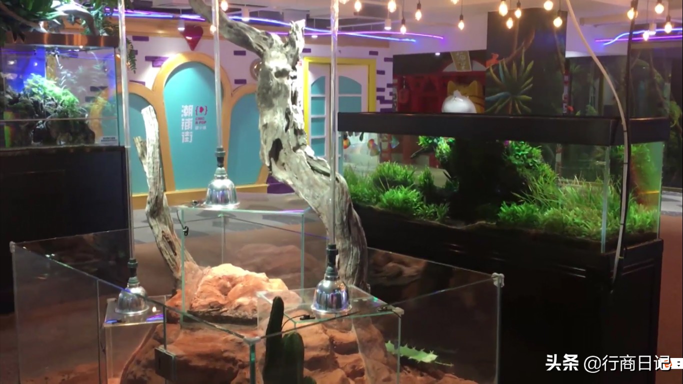 转一转:西单华威商场的潮铺街和约饭街,青春的味道