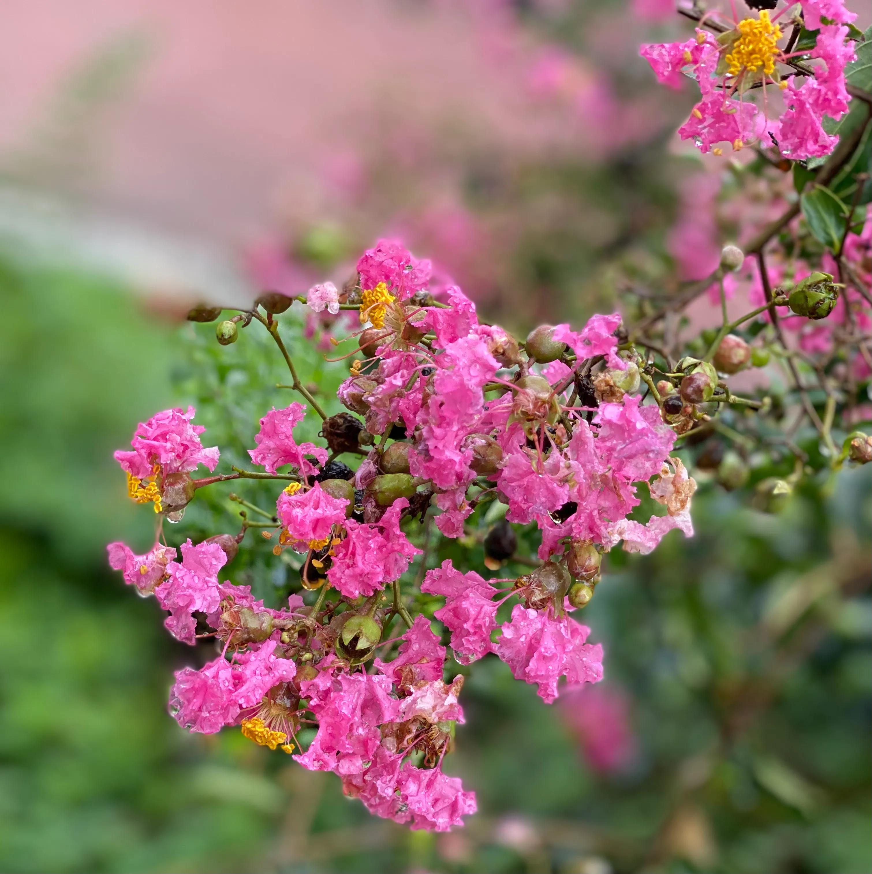 同居式养老有哪些,什么是同居式养老你怎么看待