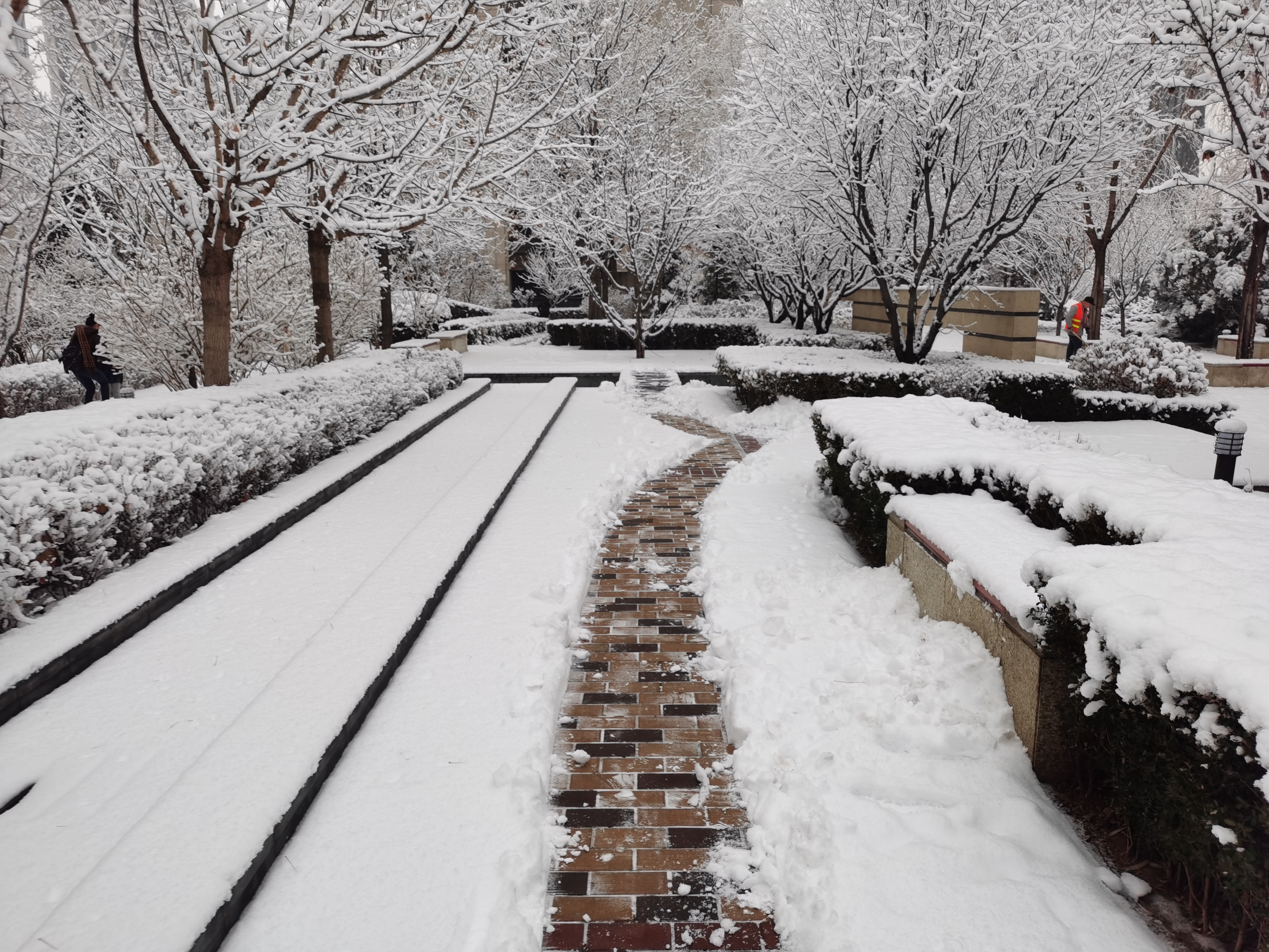 银行贷款网贷信用卡都不还会怎样,信用卡欠款20万还能去银行贷款吗