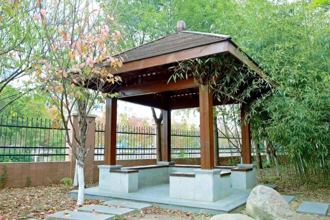 南通实验小学招生公告,南通市实验小学北校区施教区域