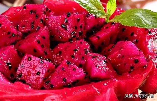 吃奥利奥饼干拉黑水,吃奥利奥黑色大便