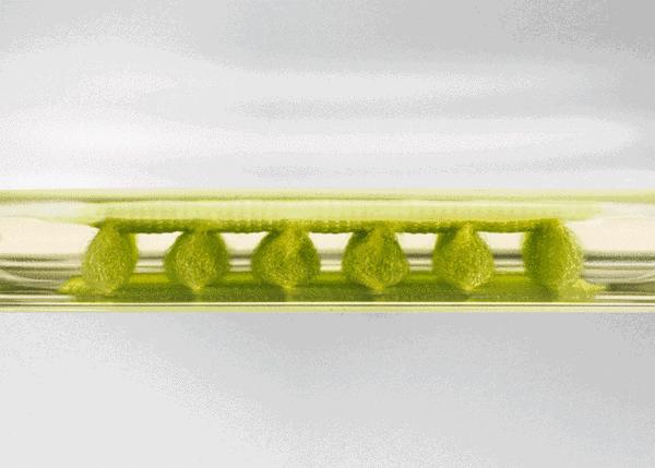 耐克的气垫到底是什么,耐克最新气垫技术