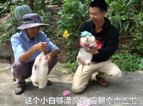 鍗庡啘鍏勫紵鍙嬫儏,鍗庡啘鍏勫紵娌宠竟