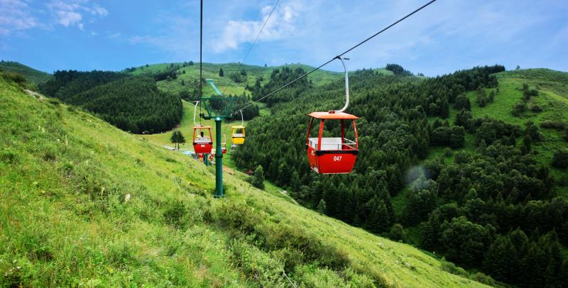 吃在驼梁，体验舌尖上的味道/郝贵云