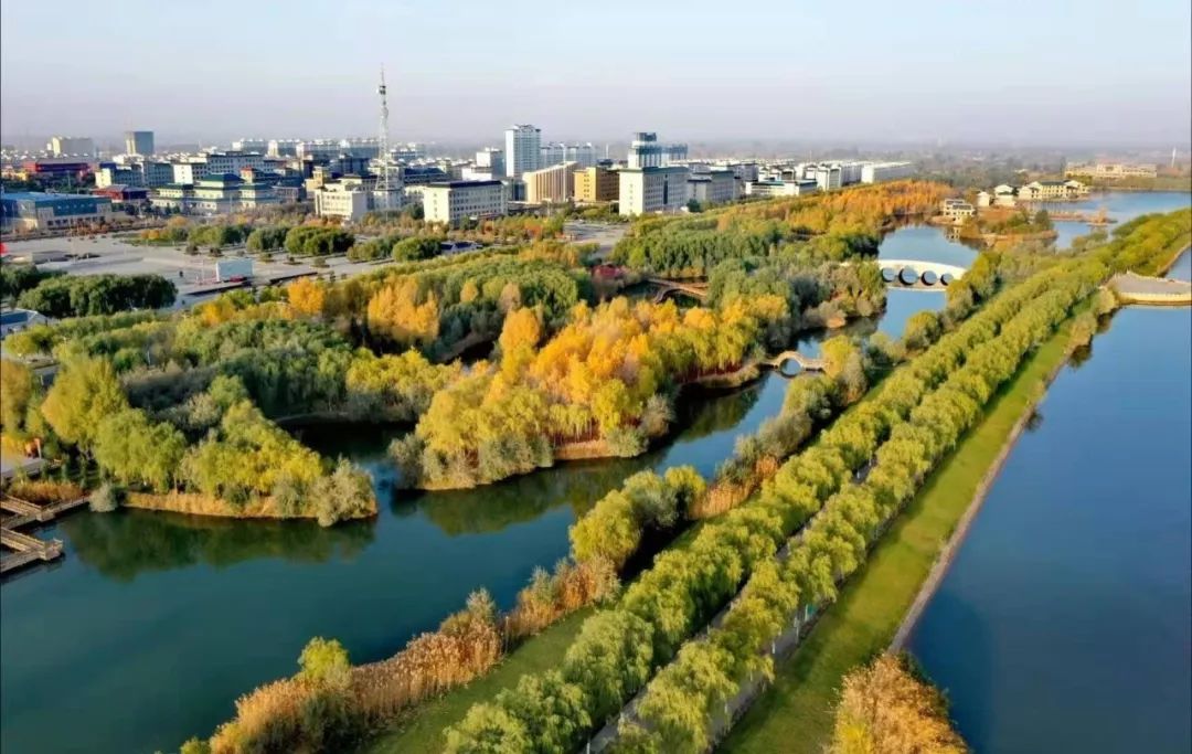 高台这个“特产”高浓度空气负离子和植物精气的公园入选中国森林氧吧，成康养活动首选之地