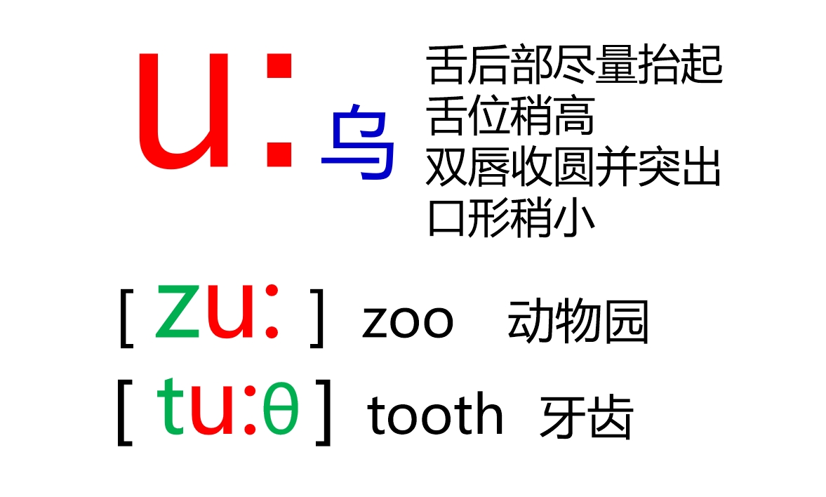 48个音标全套卡片作用,英语音标卡片48个正确发音嘴型