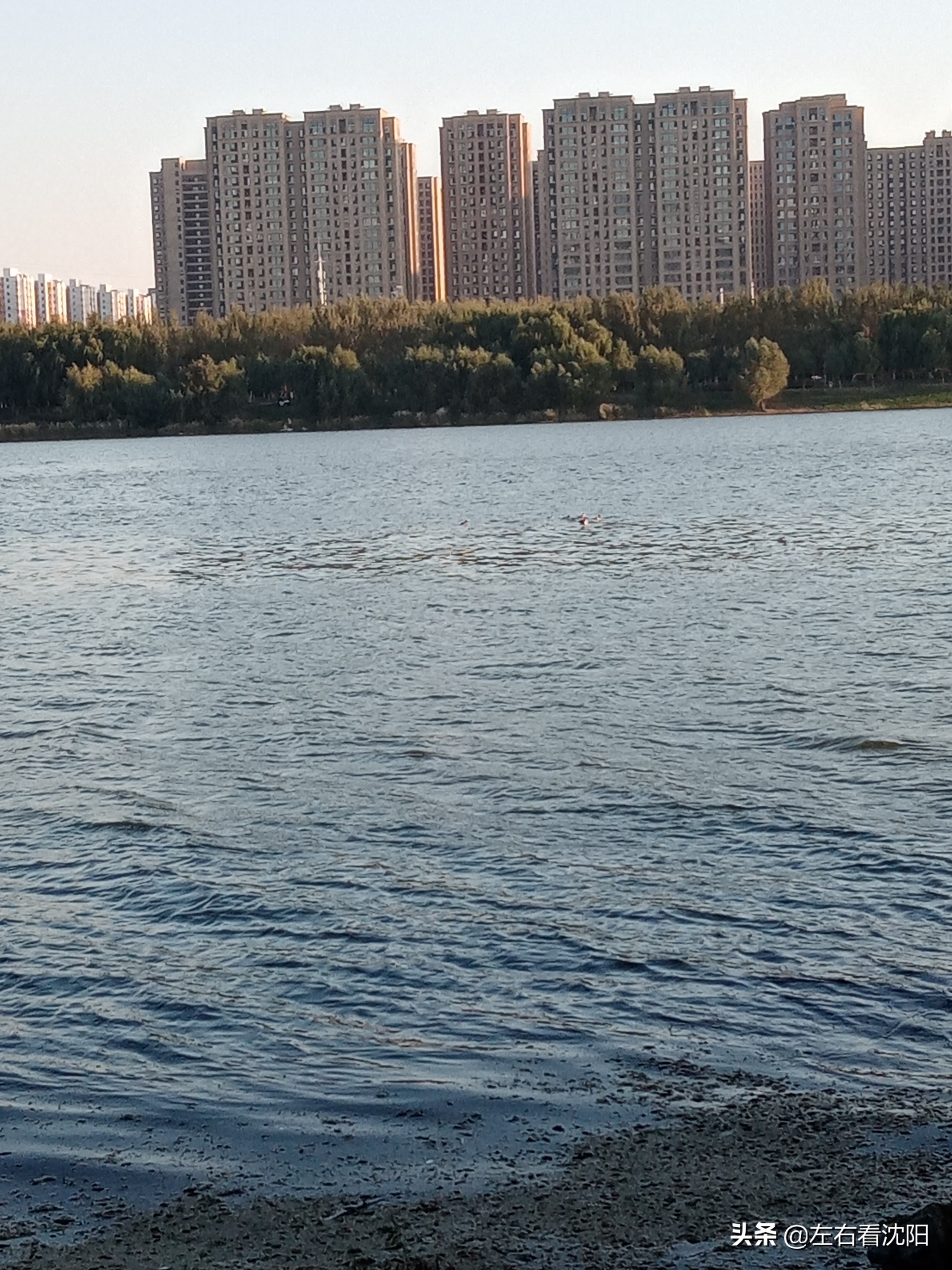 沈阳五里河公园攻略,沈阳五里河公园现在开吗