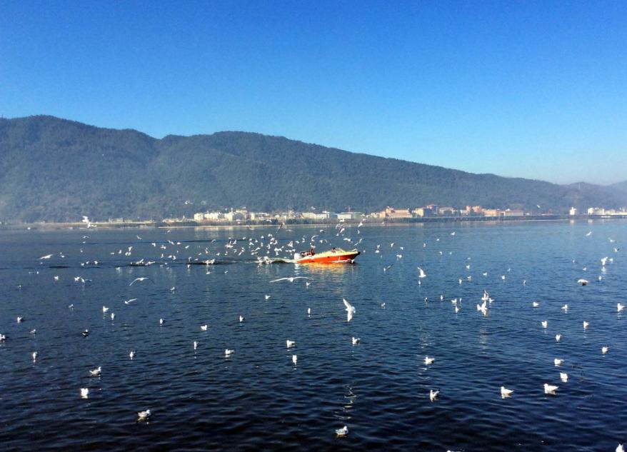 云南第一大湖泊,云南湖泊深度面积排名