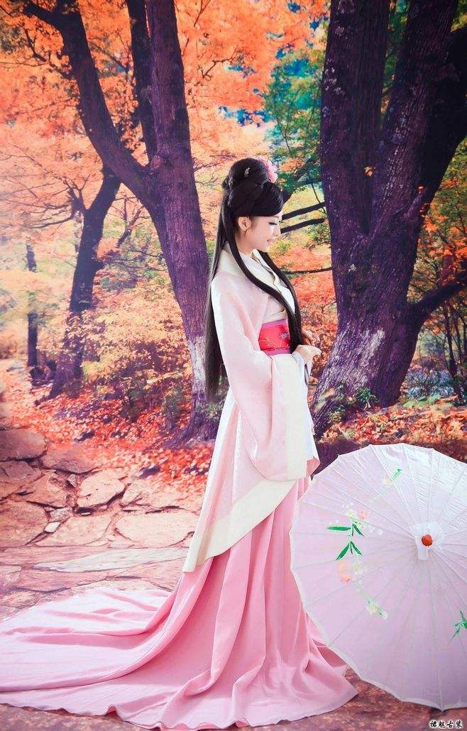 野草诗社全集视频,野草诗社简介