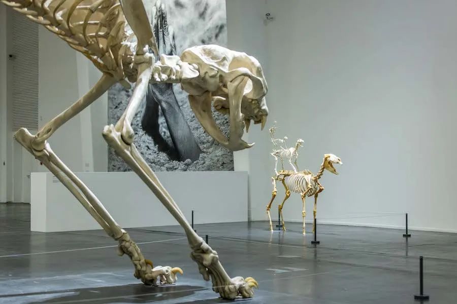 艺术家卡特兰什么实力,卡特兰把一根香蕉粘在墙上