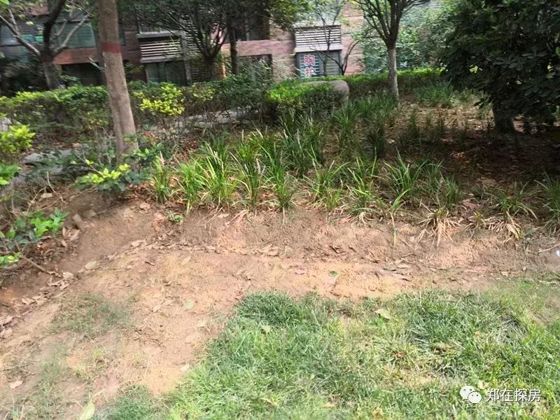 中原区锦艺国际华都,郑州中原锦艺城房价