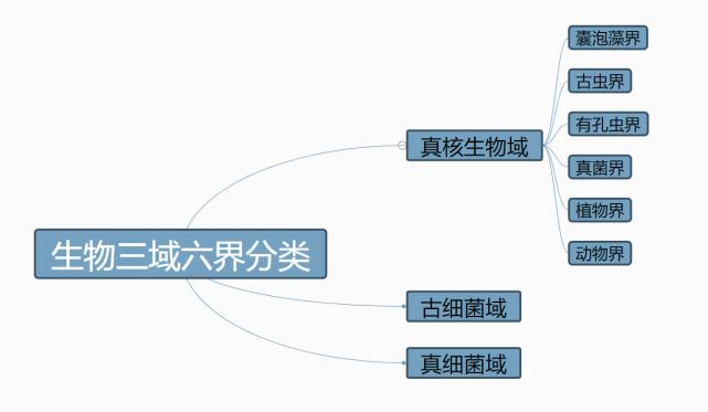 舌尖上的进化史：21亿年前的吃货细菌，最终演化成人类