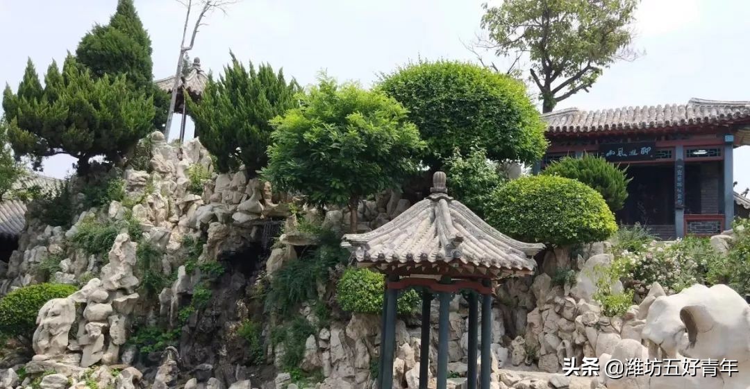 潍坊一座幸福的城市,潍坊一个浪漫而又温暖的城市