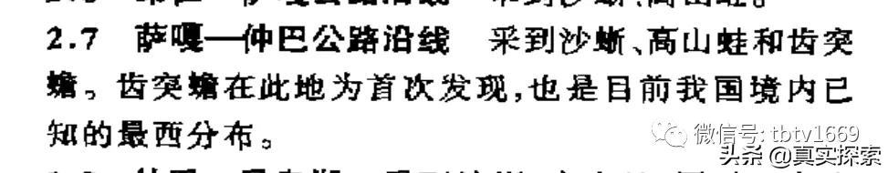 雅鲁藏布江大峡谷秘密,雅鲁藏布江大峡谷大瀑布