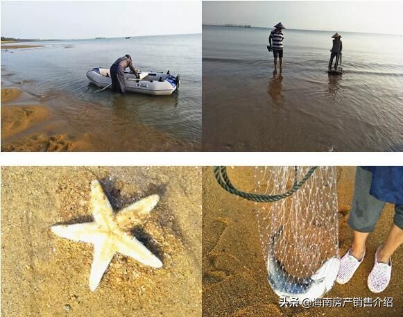 临高汇泽蓝海湾最新消息,海南汇泽蓝海湾最新消息