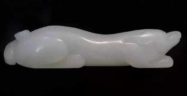 别动不动“累成狗”，汪星人表示不服！