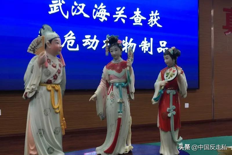 国门利剑打击走私专项行动,国门利剑2021行动总结