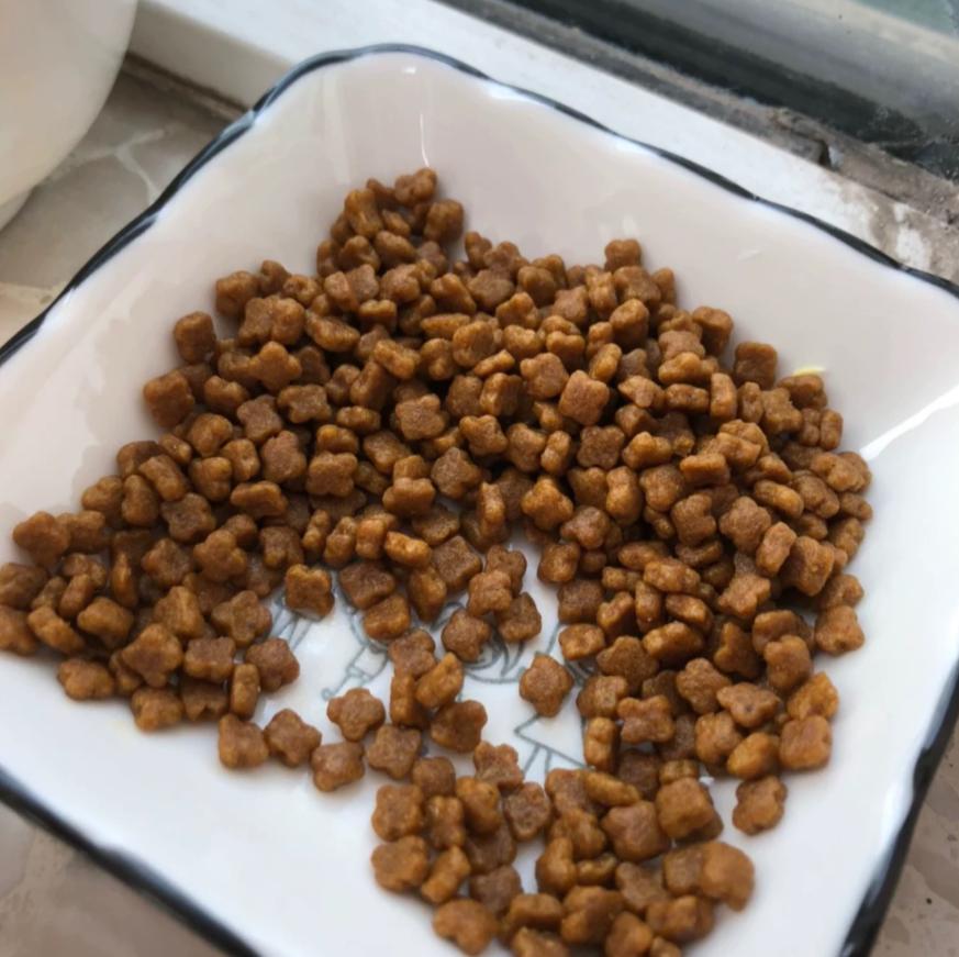幼猫粮口碑最好的十大猫粮测评,猫粮幼猫粮推荐