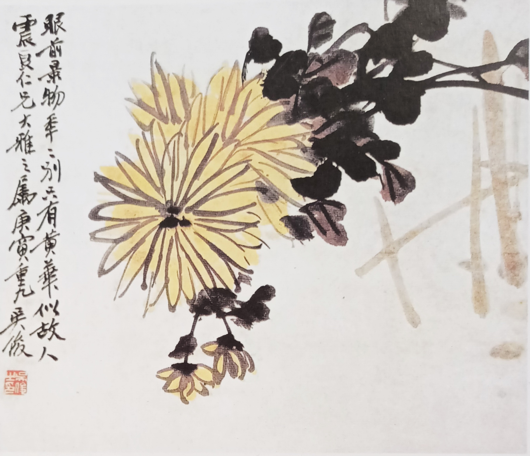 国画菊花初学者怎么画视频,圆形卡纸怎样画菊花国画