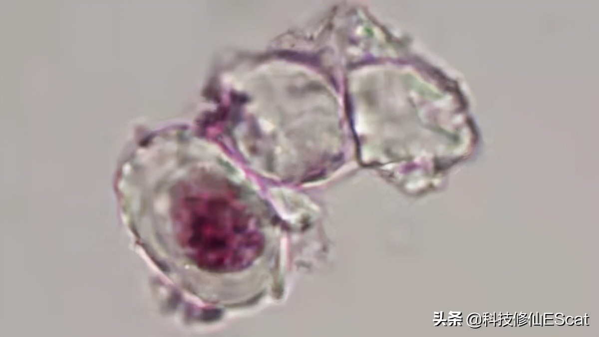 以人类目前的技术能复活恐龙吗,用ar技术复活中国远古时期的恐龙