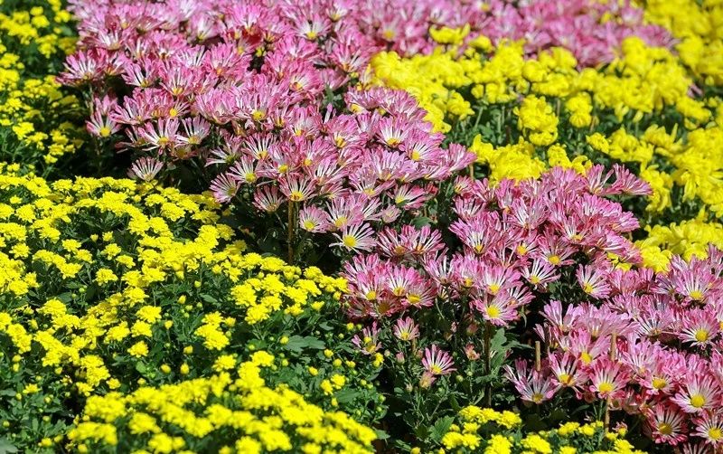 精彩继续!12月广东畅游指南,为你的2018划上圆满句点