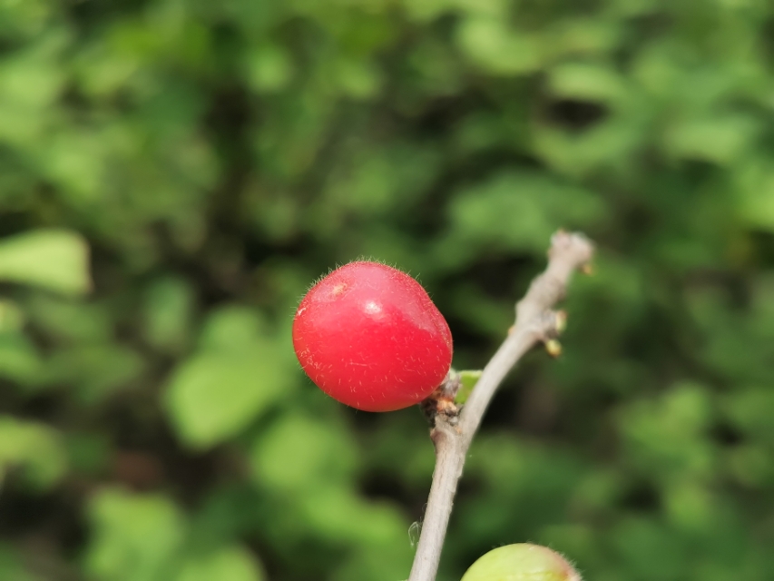 青岛高新区的公园让人们享受,青岛有个特别美的地方