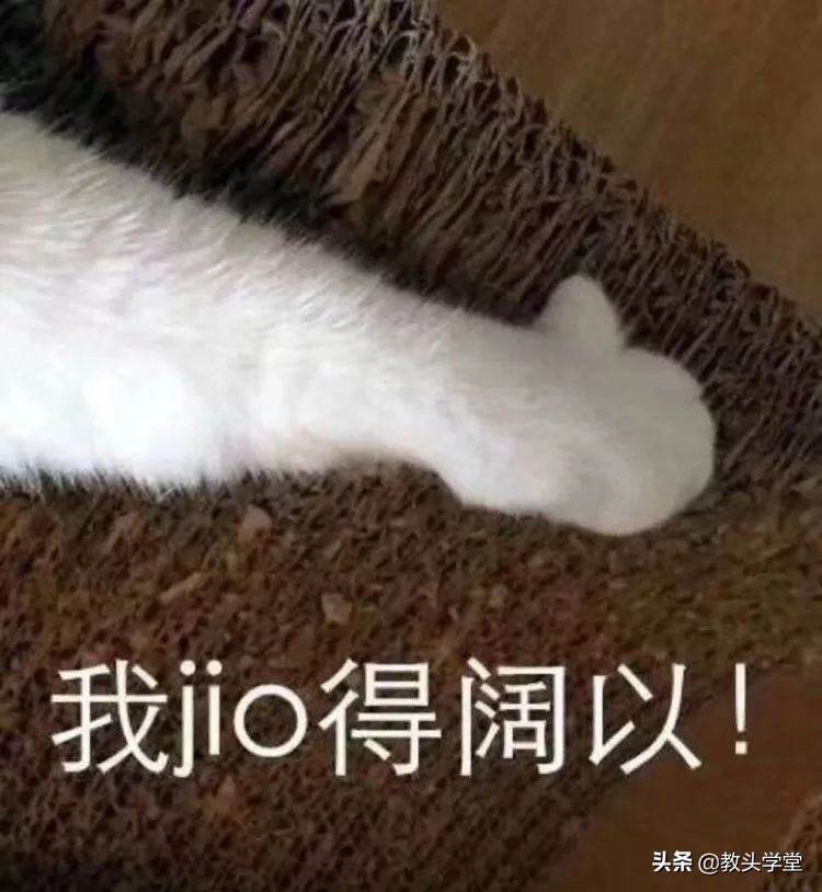 星巴克的猫爪杯营销,星巴克猫爪杯是饥饿营销吗