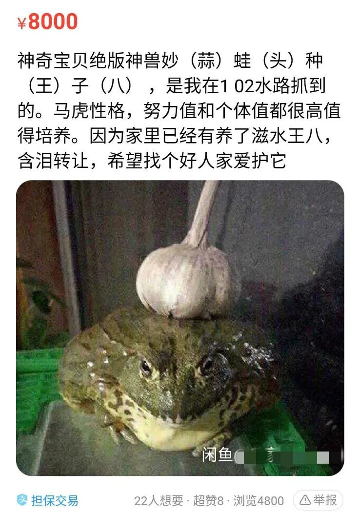 闲鱼上的外星人可以交易吗,在闲鱼商人买外星人靠谱吗