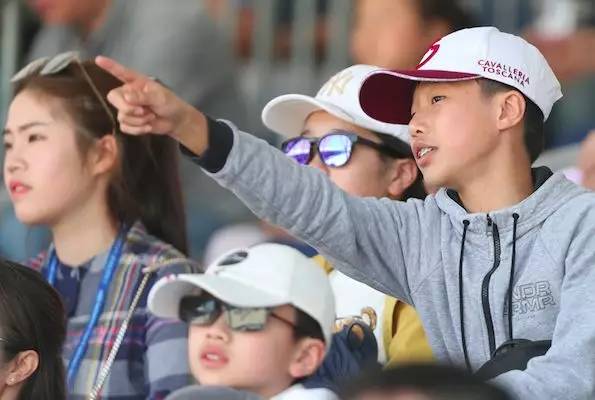 精彩马术英姿飒爽,盘点马术比赛中的精彩瞬间