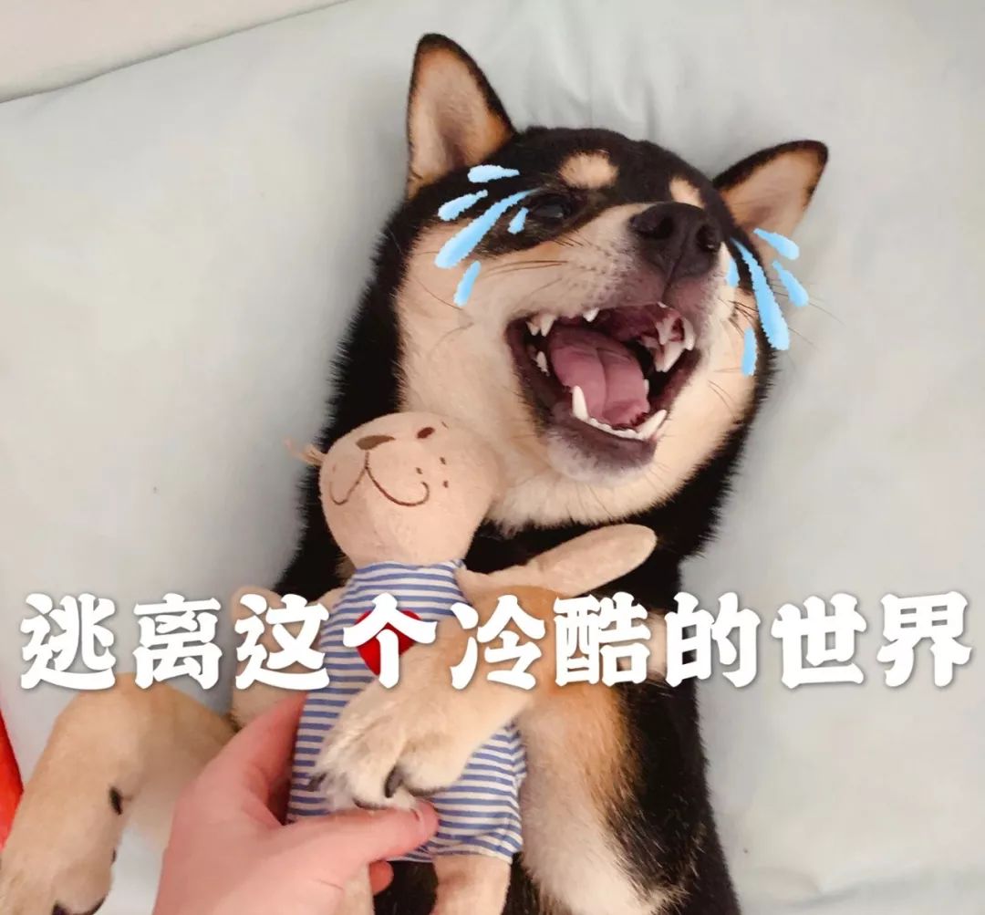 杀熟女性诈骗案例,骗财后杀害老公的真实案例