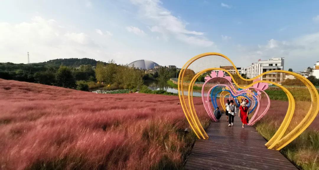 合肥抖音网红打卡景点,合肥100个网红打卡点