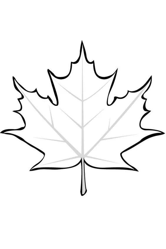 白描各种花朵,花朵白描图片大全大图