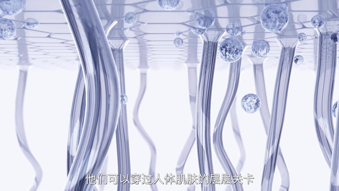 宠物玻尿酸,双分子玻尿酸宠物