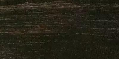 史上最全“红木”图解,看看哪种红木价值最高?