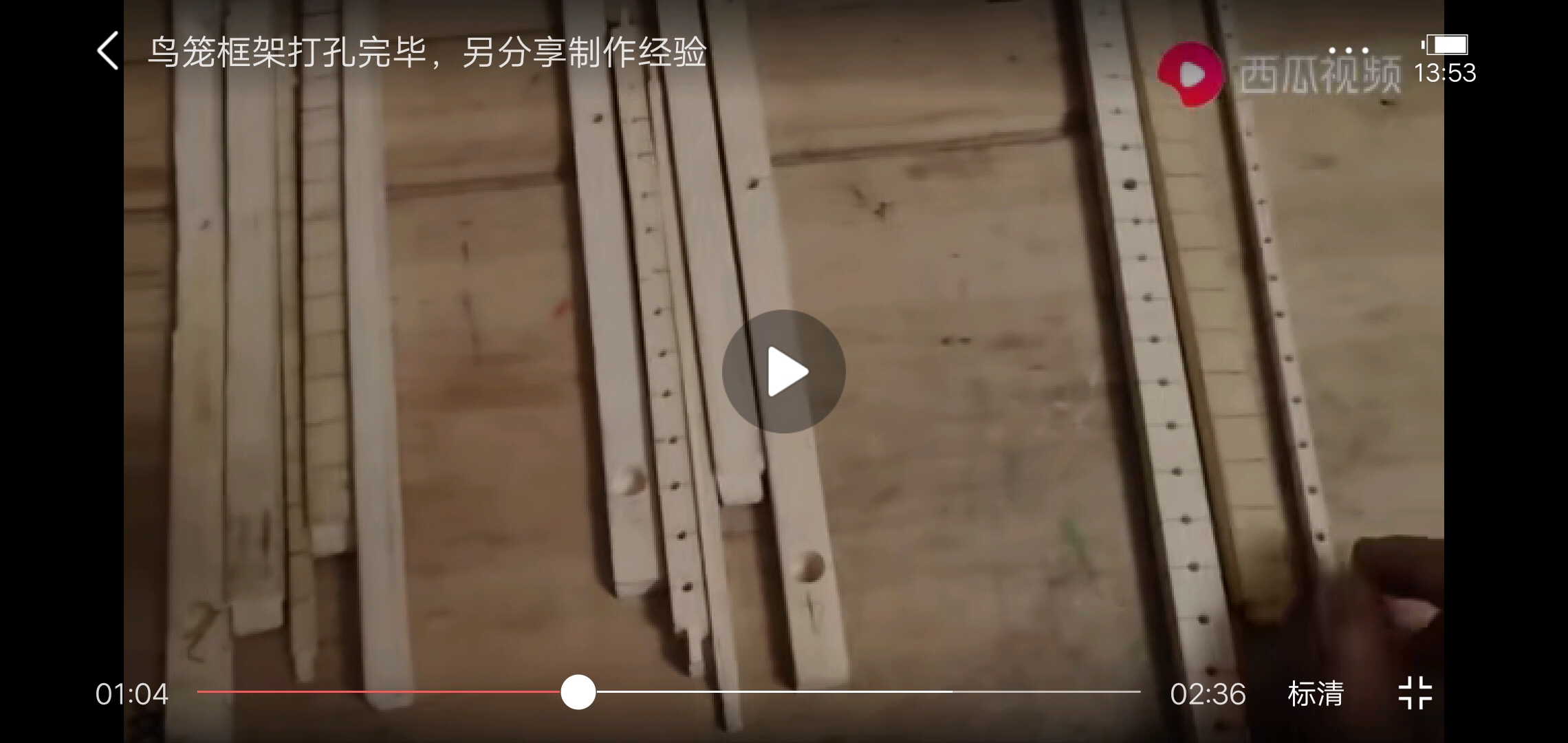 鸟笼制作,制作鹦鹉鸟笼