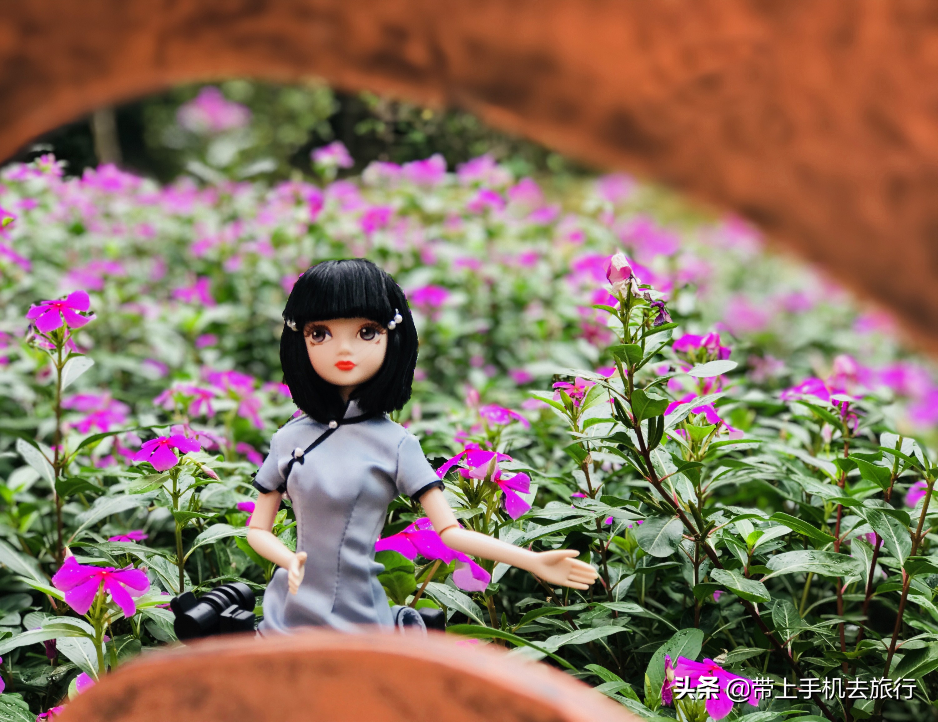 手机摄影聚焦技巧,手机摄影视频怎么聚焦