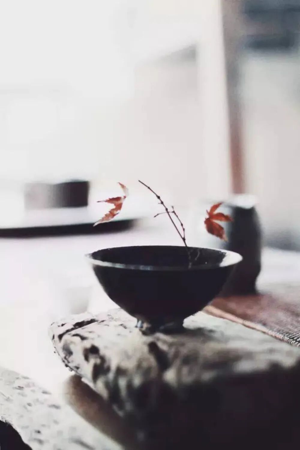 枫露茶的正确喝法,枫露茶到底是谁