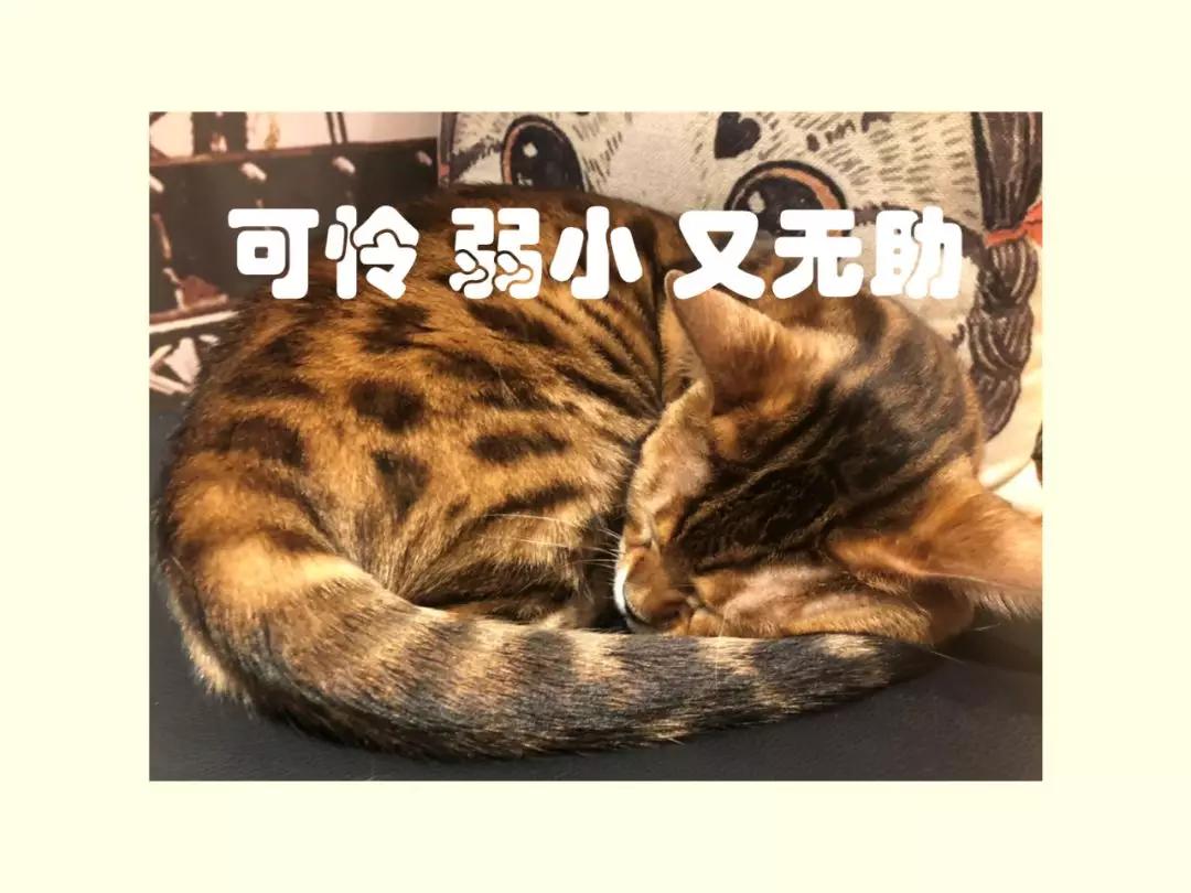 双亲过世，我想处理遗产问题，可妹妹掌握所有明细却不配合我进行分割，该怎么办？